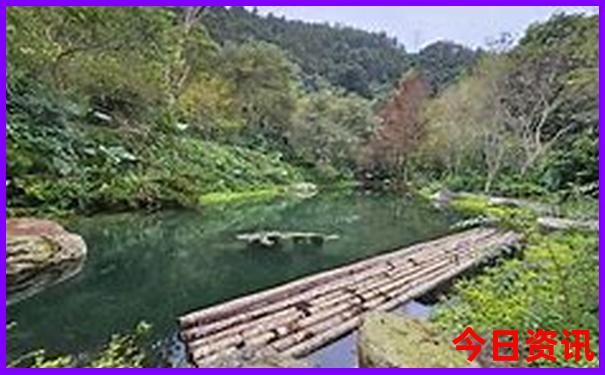重庆5个必去景点你都去过吗